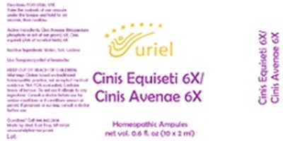Cinis Equiseti 6x Cinis Avenae Ampules (Cinis Equiseti 6x Cinis Avenae 6 X Ampules)